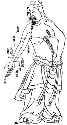 220px-Acupuncture_chart_300px